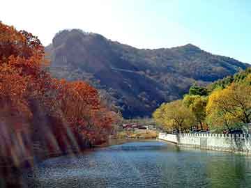 澳门期期准免费精准，泰安市泰师附小